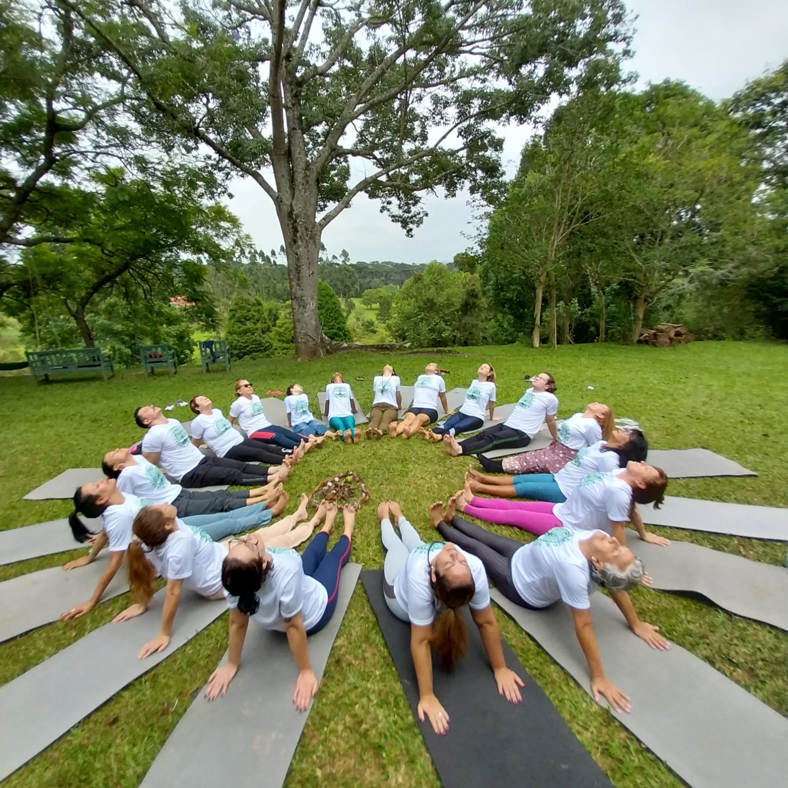 Aula de Yoga - Prática em grupo